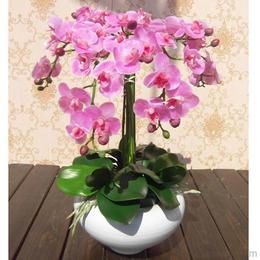 假花批發(fā)供應(yīng)與價(jià)格指南 源頭采購與機(jī)械設(shè)備應(yīng)用